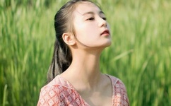 亚洲龙腾成小说人网